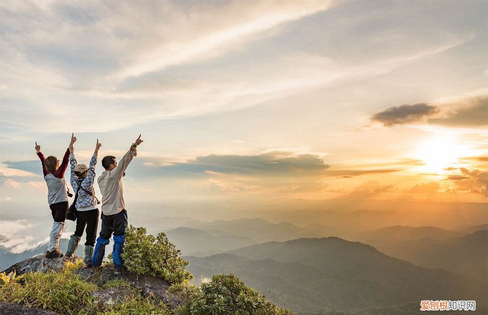 踊跃是什么意思，词语踊跃的解释，汉语词典 踊跃在词典中的意思