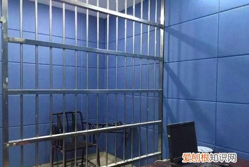药家鑫什么时候被行刑的 21岁药家鑫被判死刑始末