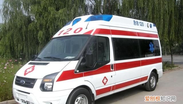 药家鑫什么时候被行刑的 21岁药家鑫被判死刑始末