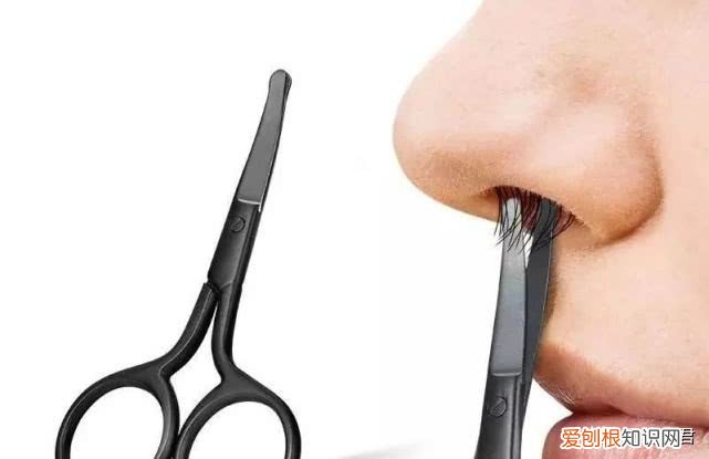 鼻毛长太快，有哪位大神给个意见怎样去鼻毛 鼻毛长出来了怎么办