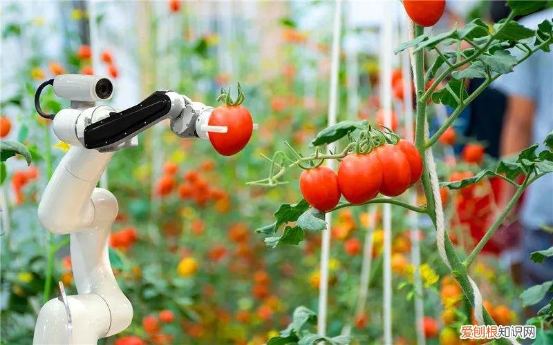 普通人如何赚大钱 如何小投资赚大钱