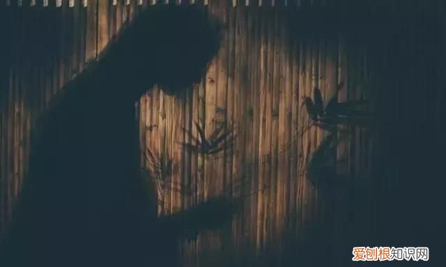 赌书泼茶,倚楼听雨什么意思,赌书泼茶倚楼听雨心灵鸡汤句子