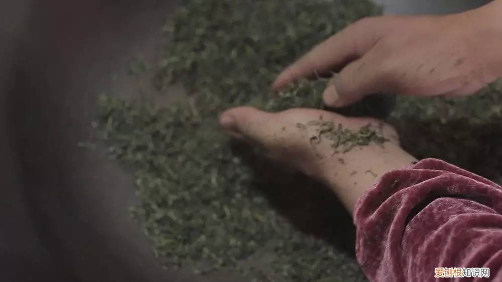 为什么说只有苏州洞庭碧螺春才是最正宗的碧螺春 碧螺春产于哪里