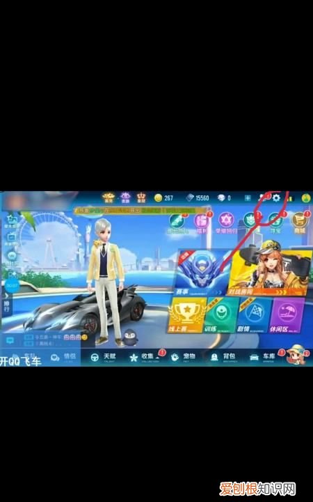 QQ飞车如何隐藏贵族等级，qq飞车手游精英等级怎么看