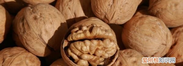 胡桃仁和核桃仁是一种东西 胡桃仁的功效有哪些