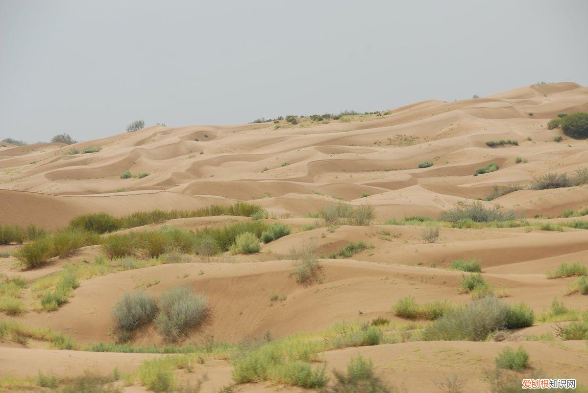 撒哈拉沙漠现在属于哪个国家 撒哈拉沙漠属于哪个国家