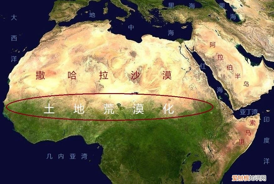 撒哈拉沙漠现在属于哪个国家 撒哈拉沙漠属于哪个国家