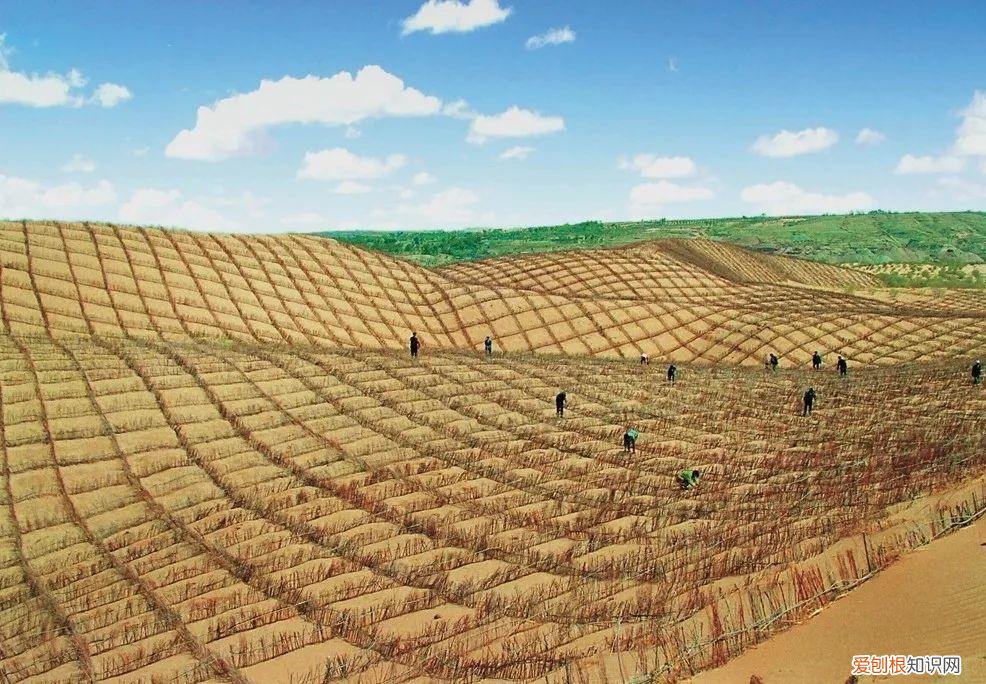 撒哈拉沙漠现在属于哪个国家 撒哈拉沙漠属于哪个国家