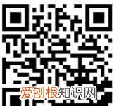 华为手表怎么扫码配对，华为手表怎么连接华为手机