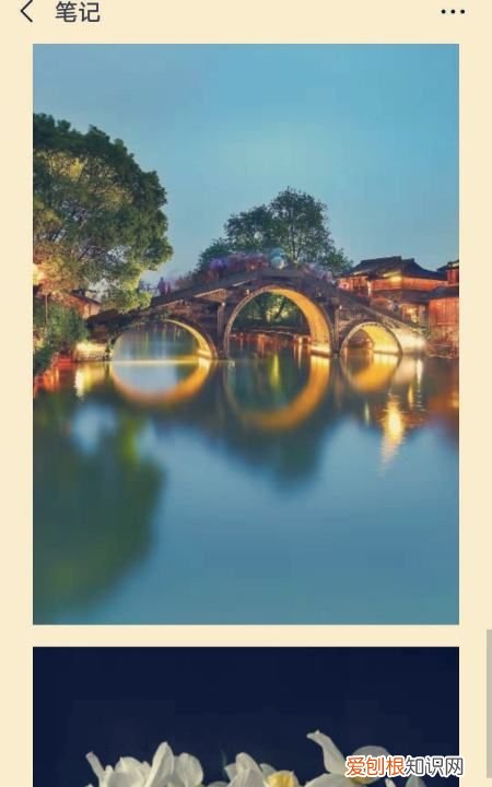 手机上怎么做长图海报，如何将多张照片拼接成长