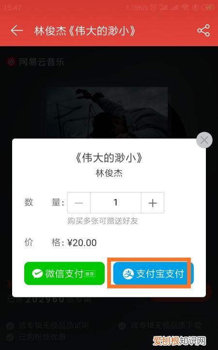 要如何在网易云中购买单曲，网易云音乐专辑怎么单曲购买