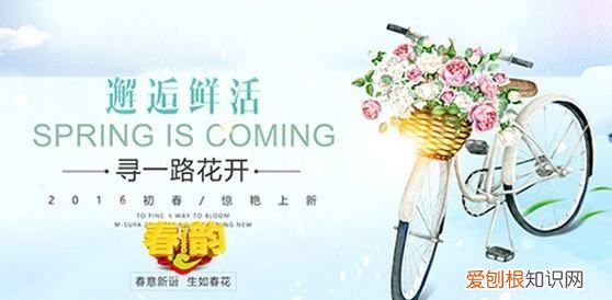 ps分辨率怎么调，如何用ps修改照片像素分辨率大小