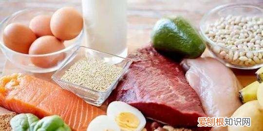 蛋白质粉的好处 蛋白质粉的好处有哪些