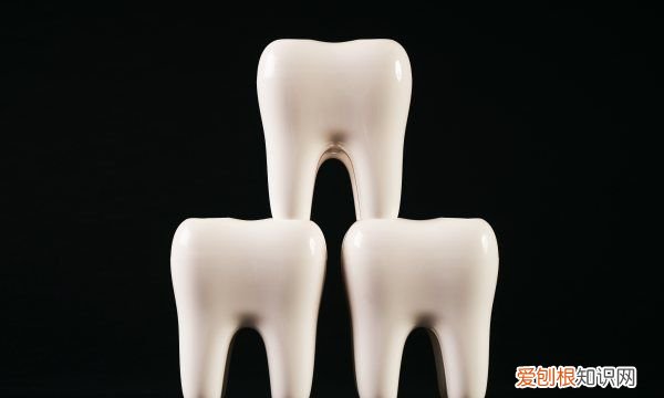 蛋白质粉的好处 蛋白质粉的好处有哪些