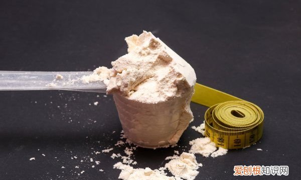 蛋白质粉的好处 蛋白质粉的好处有哪些