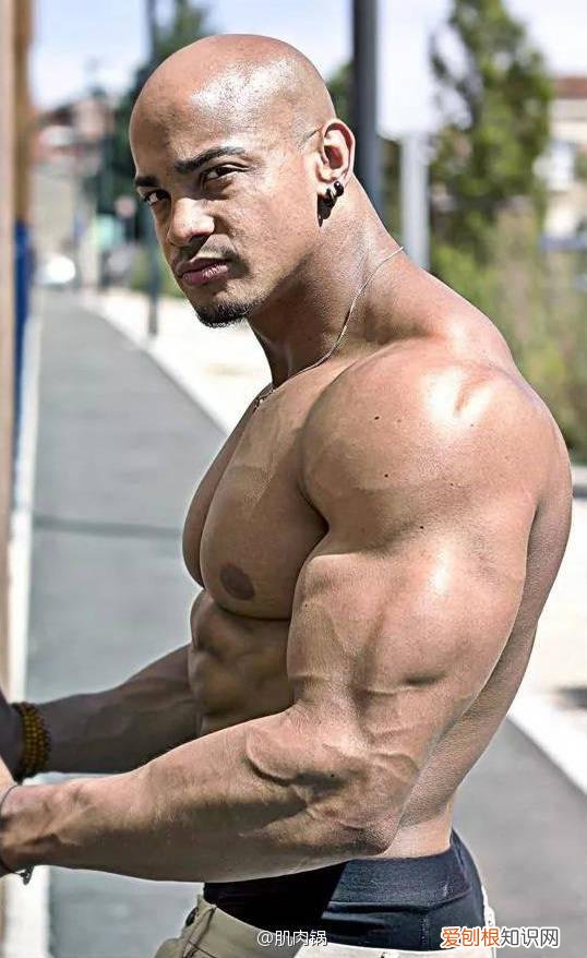 三角肌后束的黄金动作 三角肌中束王牌动作