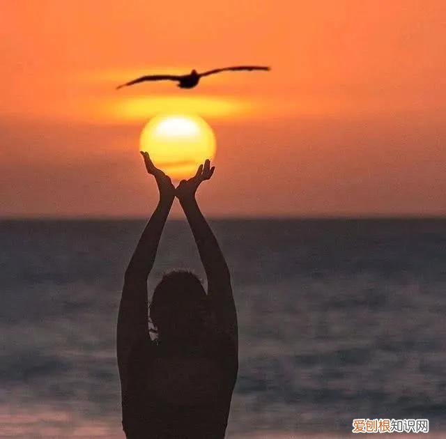 不经历风雨怎能见彩虹”所体现的是一种 不经历风雨怎能见彩虹