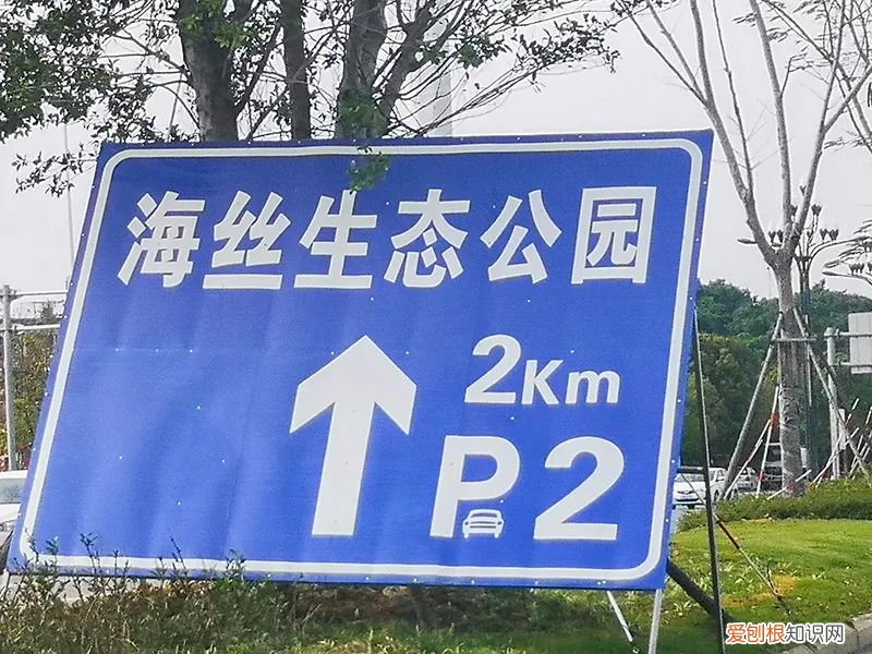 泉州的向日葵花海好玩吗?值得一去吗?位置在哪里 向日葵花海