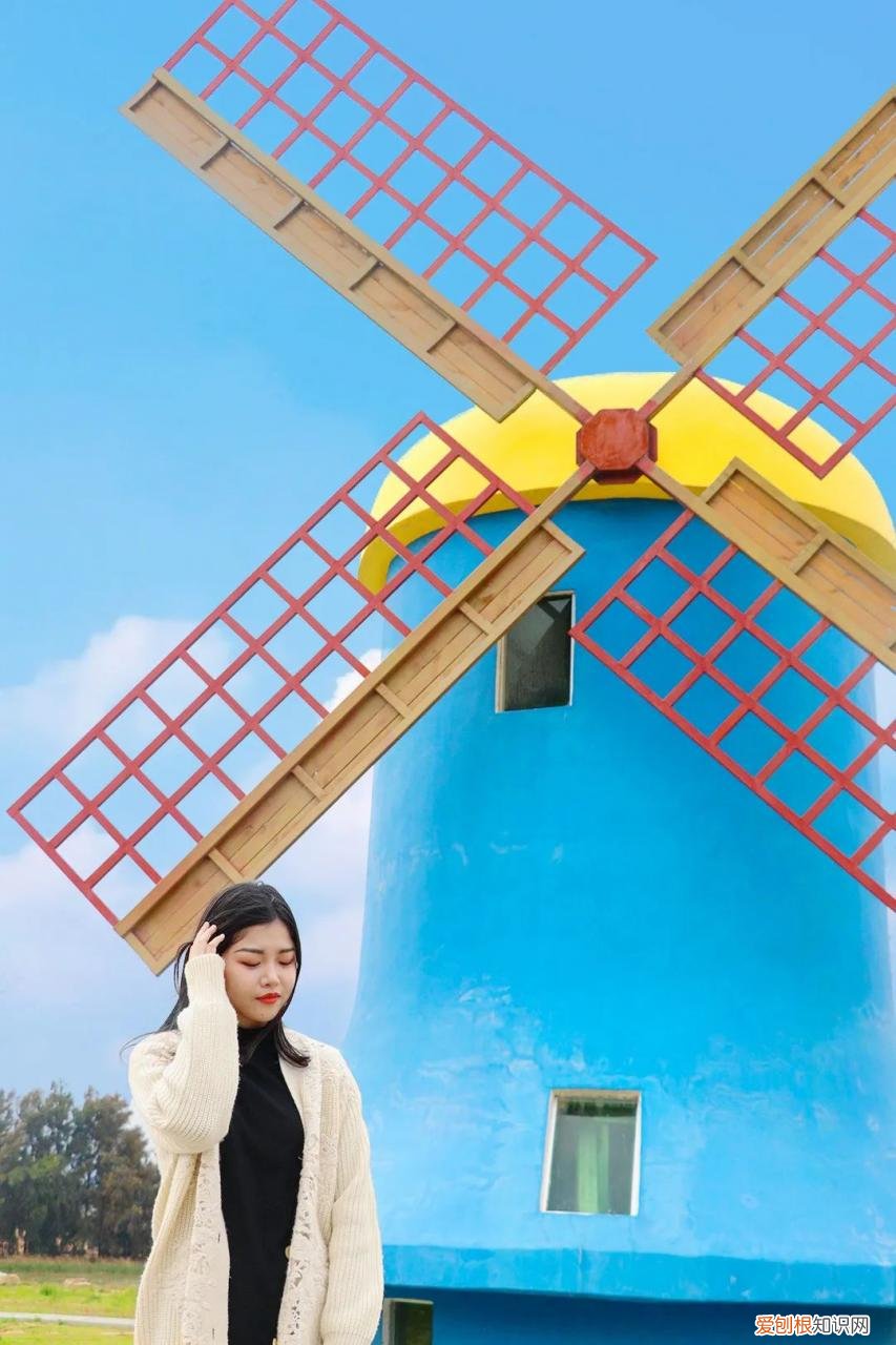 泉州的向日葵花海好玩吗?值得一去吗?位置在哪里 向日葵花海