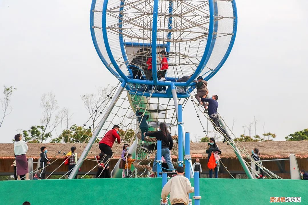 泉州的向日葵花海好玩吗?值得一去吗?位置在哪里 向日葵花海