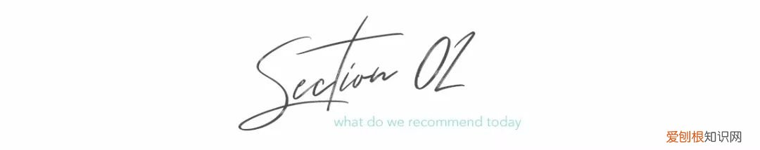 泉州的向日葵花海好玩吗？值得一去吗？位置在哪里 向日葵花海