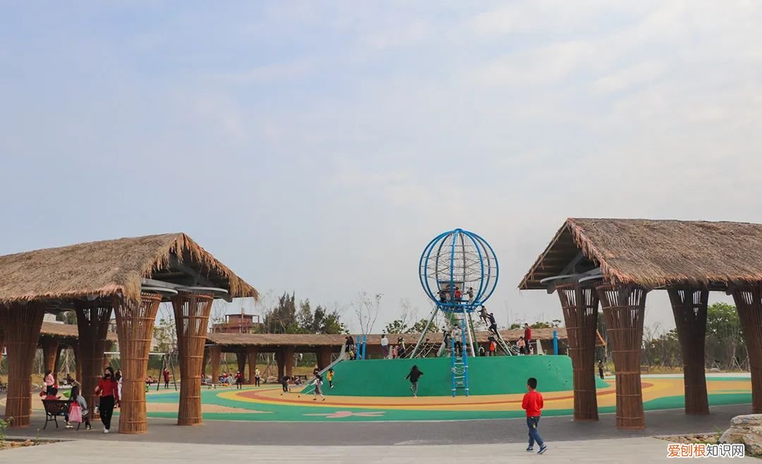 泉州的向日葵花海好玩吗?值得一去吗?位置在哪里 向日葵花海