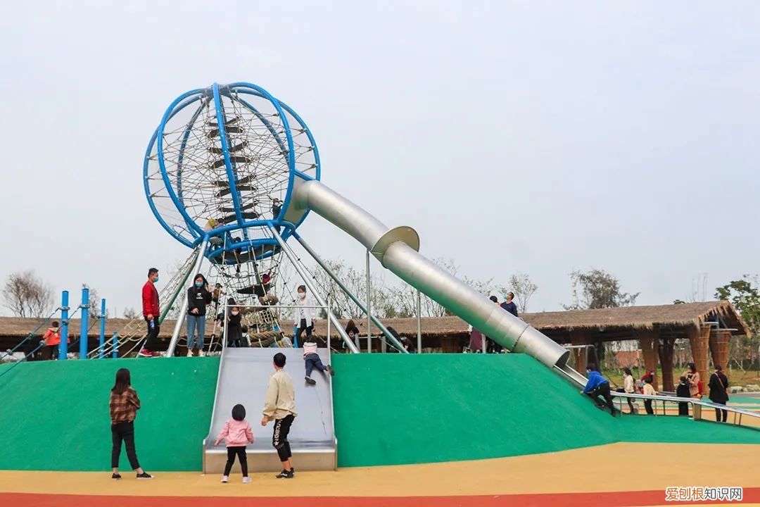 泉州的向日葵花海好玩吗?值得一去吗?位置在哪里 向日葵花海