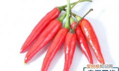 辣椒在植物分类中属于什么科 辣椒在植物分类中属于哪种科