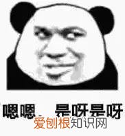 重庆火锅历史文化起源 沙龙文化的历史起源