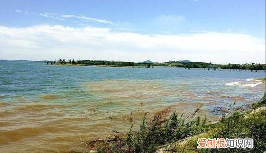 青岛最大的水库前十位 山东最大的水库前十位