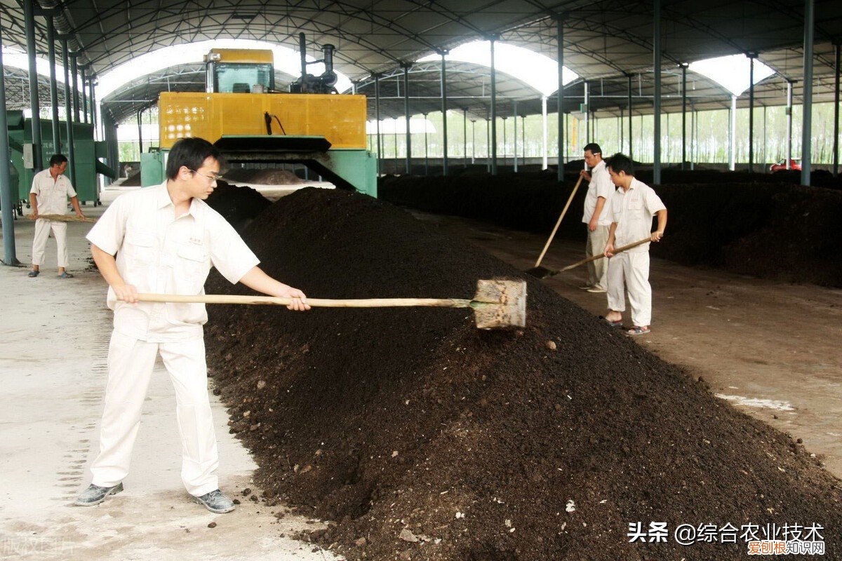 怎样用鸡粪做有机肥?简单的方法，和祥细的方法 鸡粪有机肥