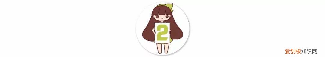 一年四季都能开花的植物有哪些 一年四季都盛开的花是什么花