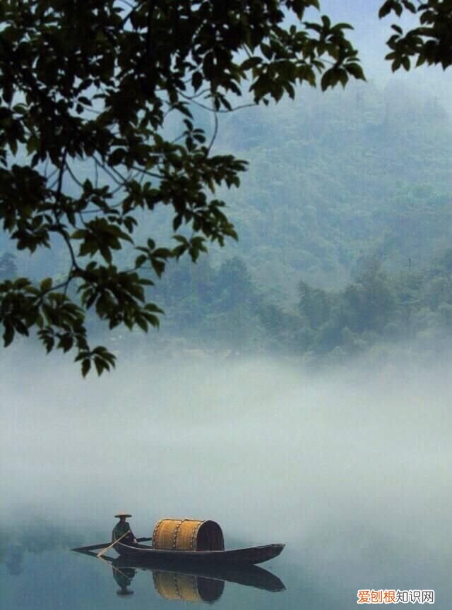 一山一水皆画意,一草一木皆诗情