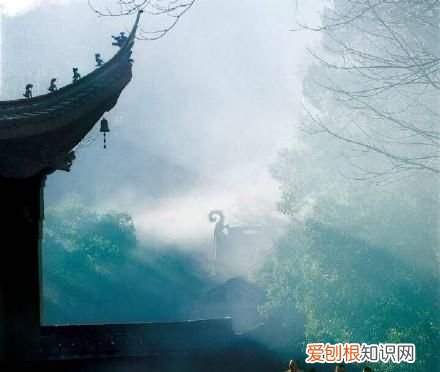 一山一水皆画意,一草一木皆诗情