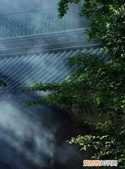 一山一水皆画意,一草一木皆诗情