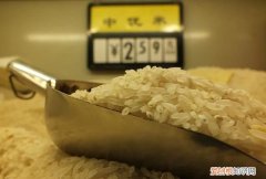 真装的大米过期能吃 真装的大米过期能不能吃