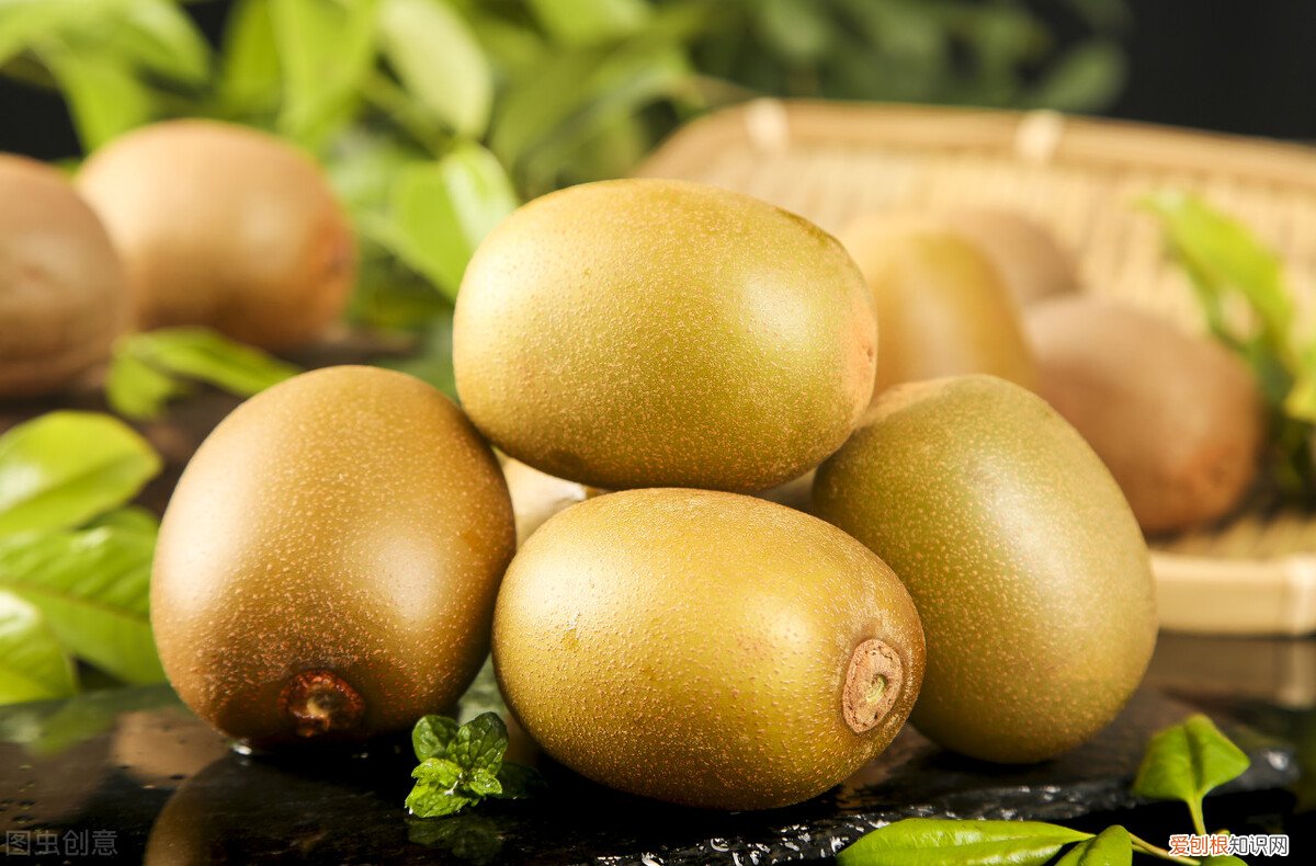 奇异果和猕猴桃的区别哪个好 奇异果和猕猴桃是同一种水果吗