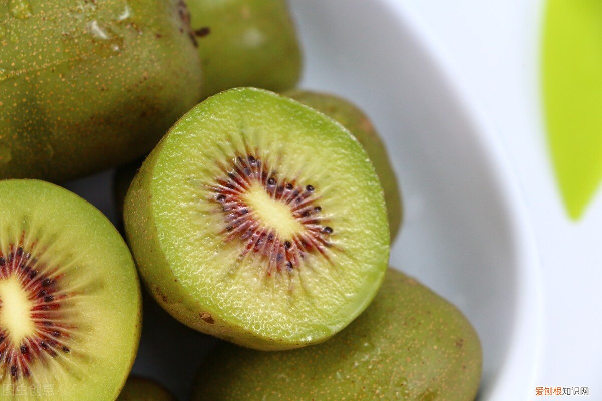 奇异果和猕猴桃的区别哪个好 奇异果和猕猴桃是同一种水果吗
