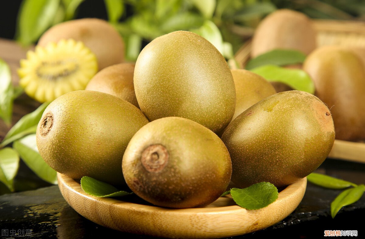 奇异果和猕猴桃的区别哪个好 奇异果和猕猴桃是同一种水果吗