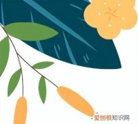 云南省电子税务局变更办税人员怎么操作