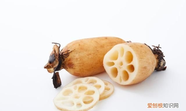 莲藕是莲的哪一部分,藕是荷花的什么部位 藕是荷花的哪个部分