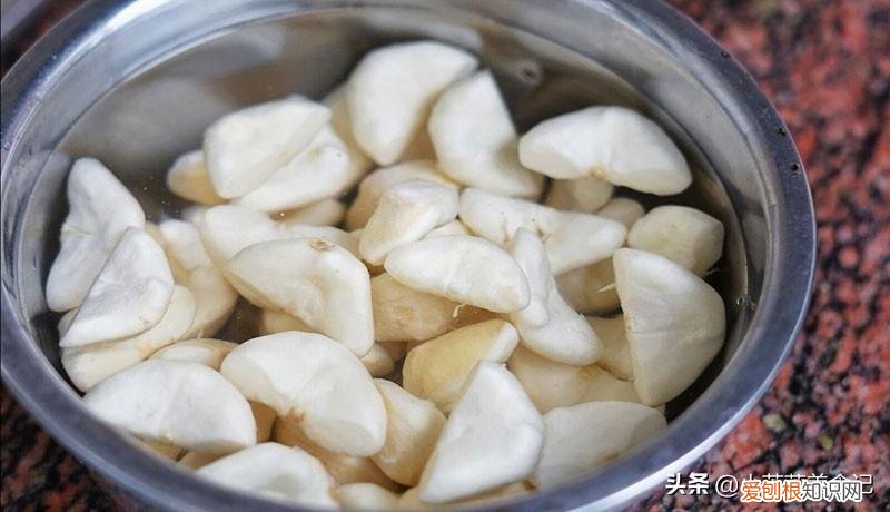 菱角怎么吃最容易剥开壳