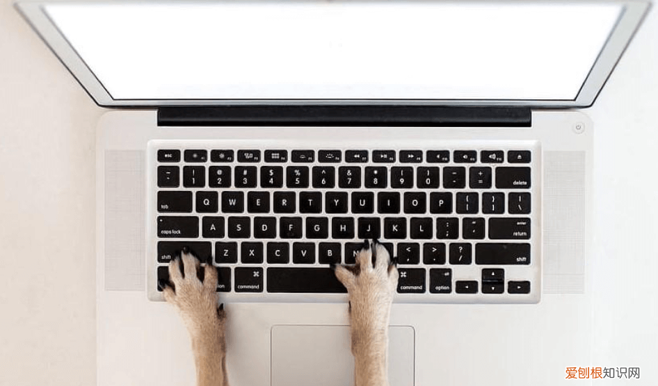 c盘明明没东西却显示满了，教你清理电脑隐藏的文件夹