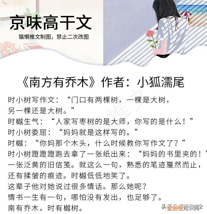 南方有乔木原著小说