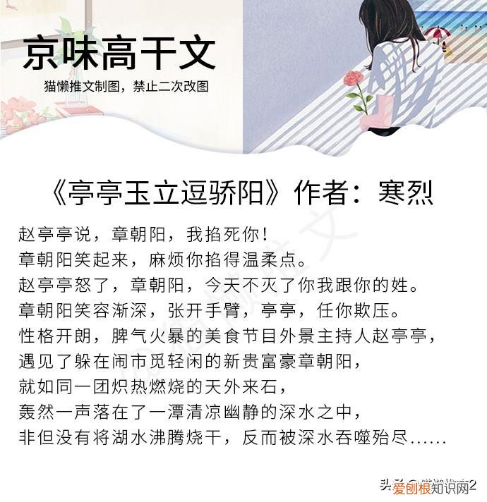 南方有乔木原著小说