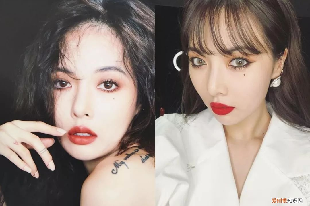 雪莉死亡另有隐情 具荷拉知道雪莉真相