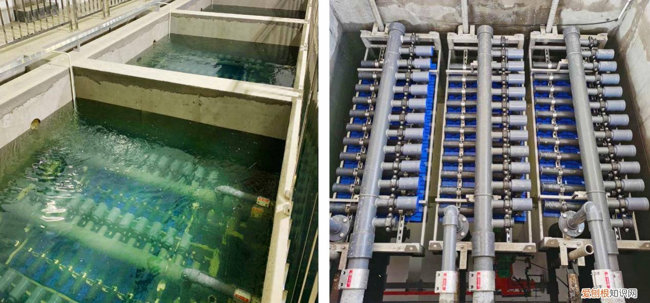 为什么中国不能直接喝德日自来水？是因为标准低吗？