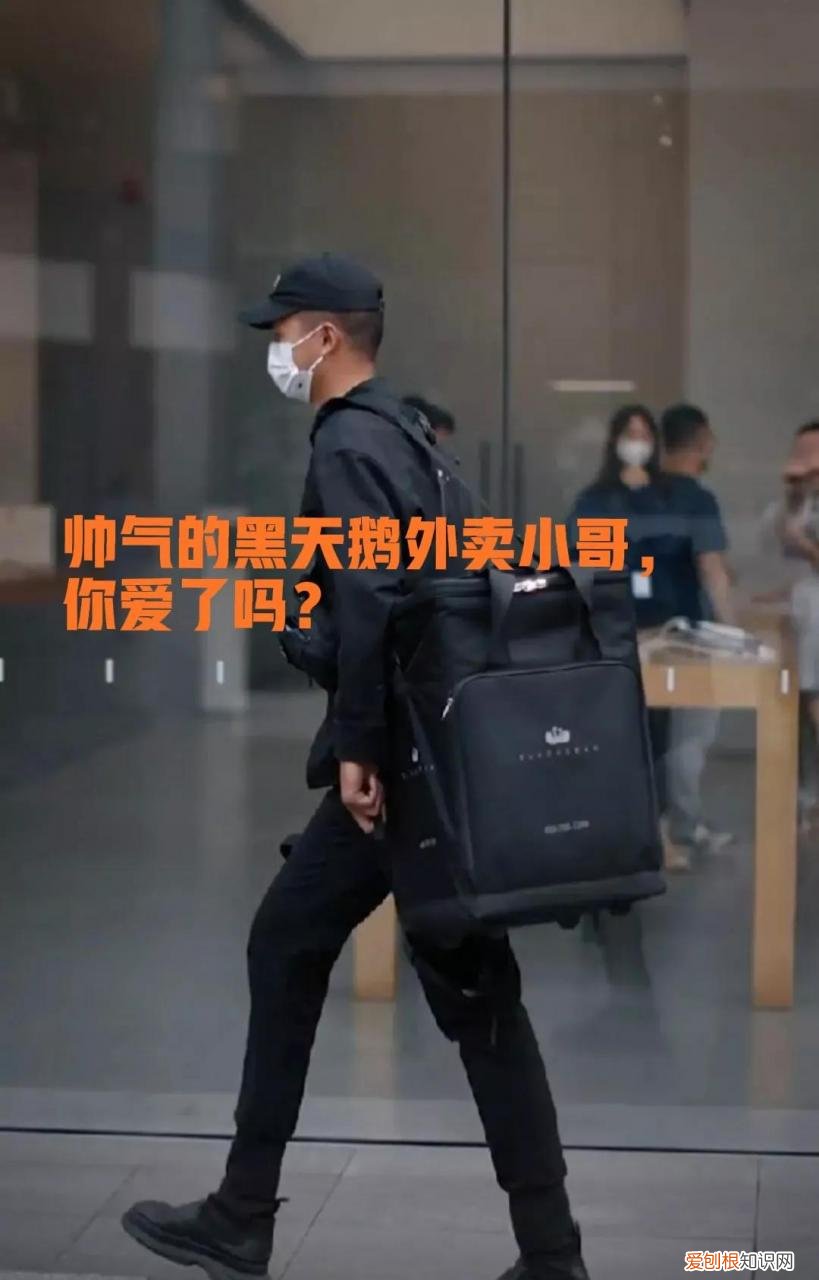 黑天鹅外卖员招聘要求 黑天鹅外卖员是什么意思