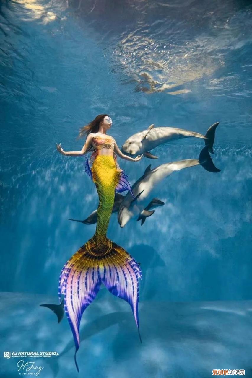 美人鱼潜水员 人类变美人鱼方法