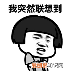 狗在什么情况下能看见鬼 狗看见鬼有几种表现